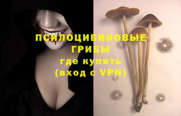 винт Богданович
