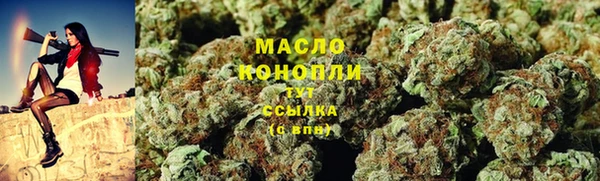 молекула духа Снежногорск