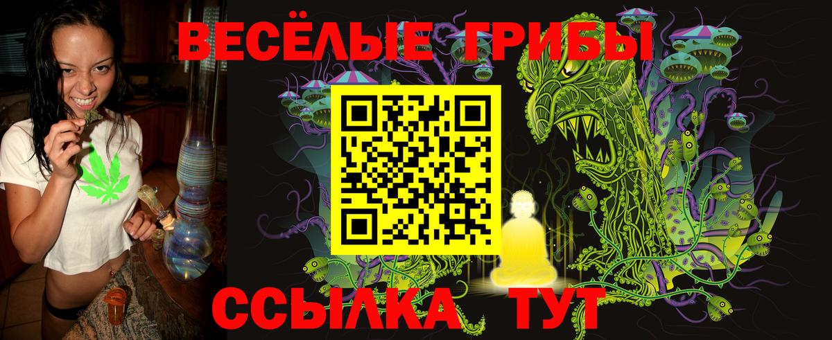 Псилоцибиновые грибы мицелий Среднеуральск