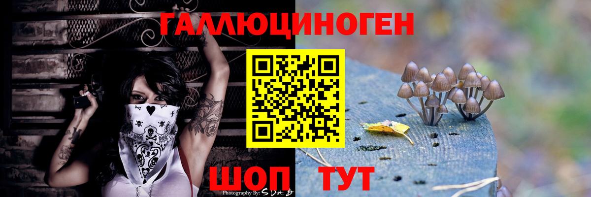 магазин  наркотиков  Псилоцибиновые грибы Psilocybe  Псилоцибиновые грибы мухоморы  Вход с VPN  Среднеуральск 